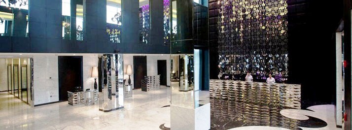 427/Radisson Blu Hotel Paschim Vihar - New Delhi 02.jpg